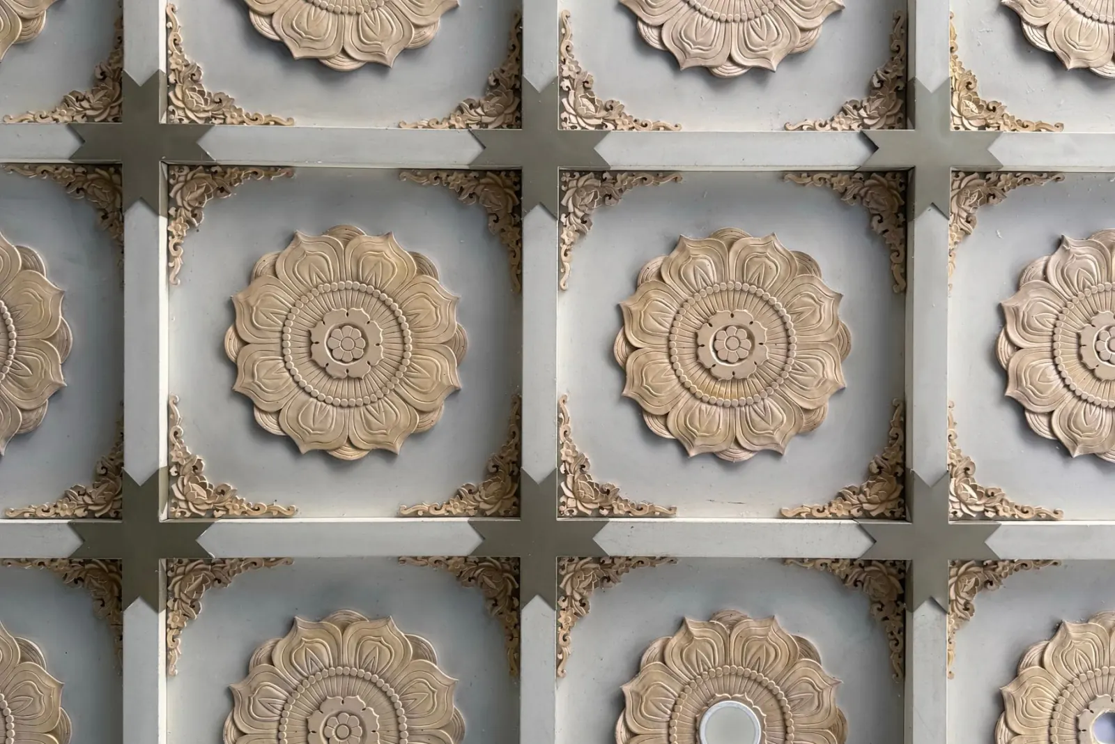 A moulded ceiling centre with a floral pattern