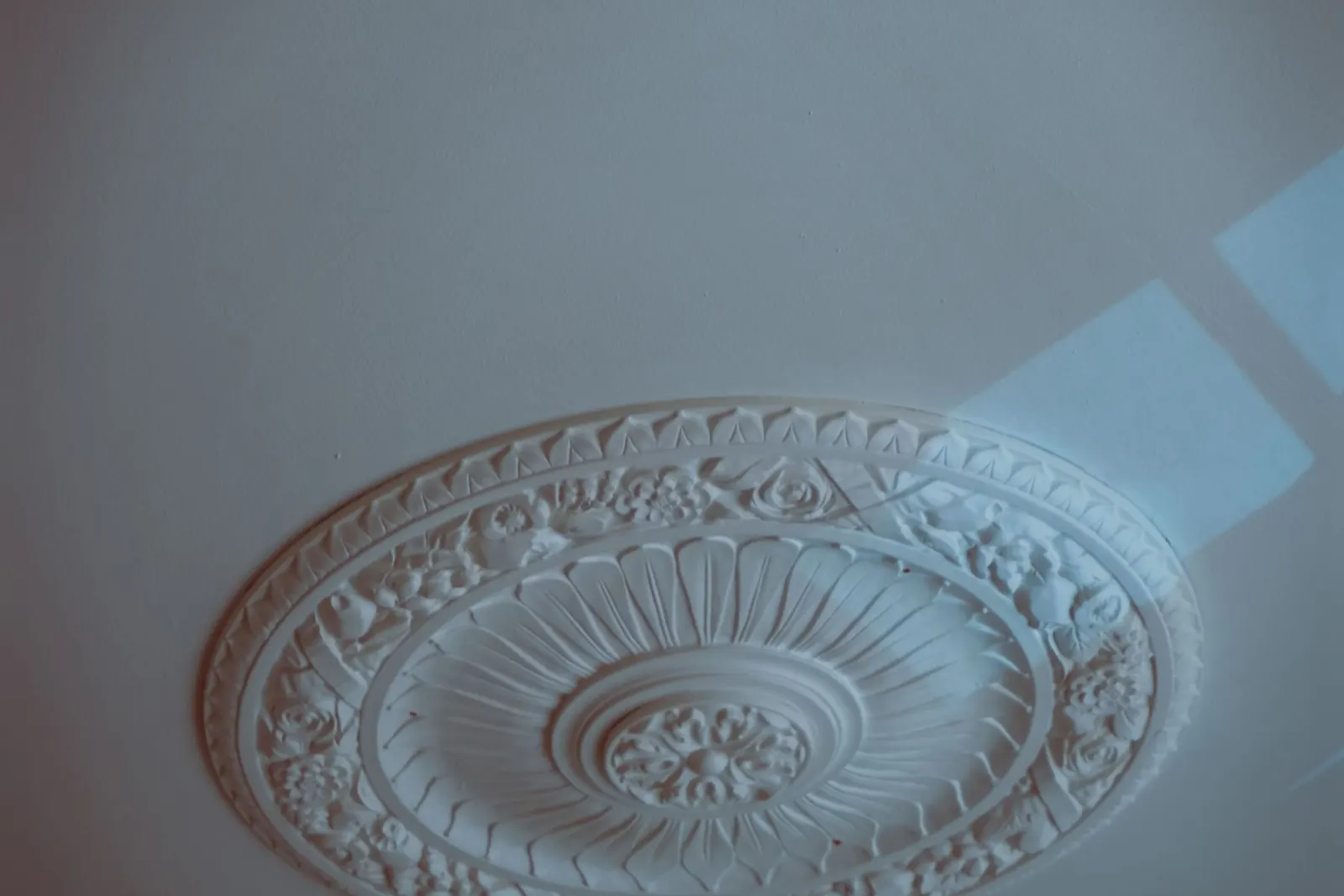 Carved decorative plasterwork on a ceiling seen close up